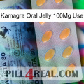 Kamagra Oral Jelly 100Mg Use 44